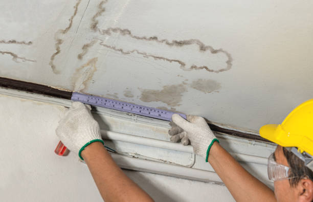 Reliable Water Damage contractor in Wilmington, IL by Water Damage Irwin